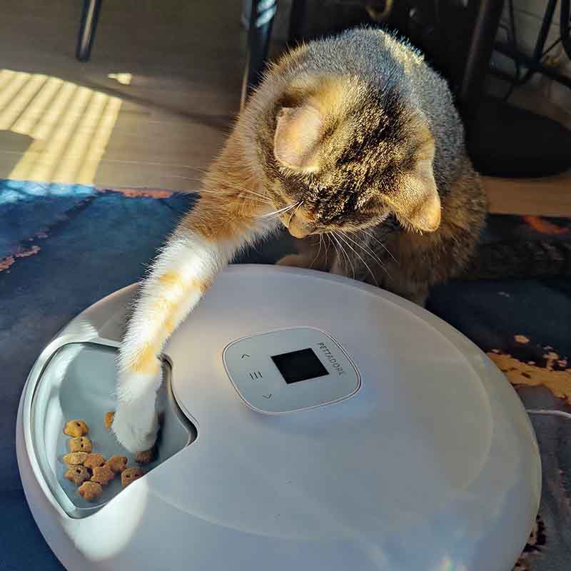 Pettadore Nutri Turn - Automatic feeder
