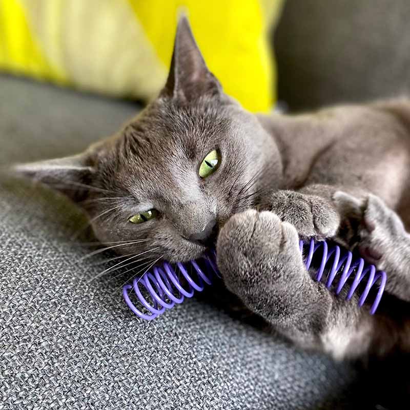 Pettadore Play Springs - Cat Feathers