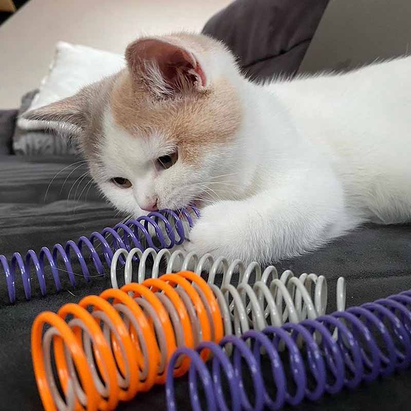Pettadore Play Springs - Cat Feathers