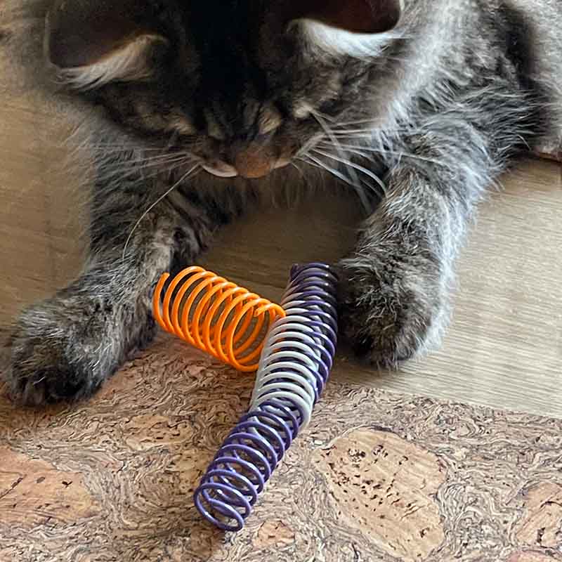 Pettadore Play Springs - Cat Feathers
