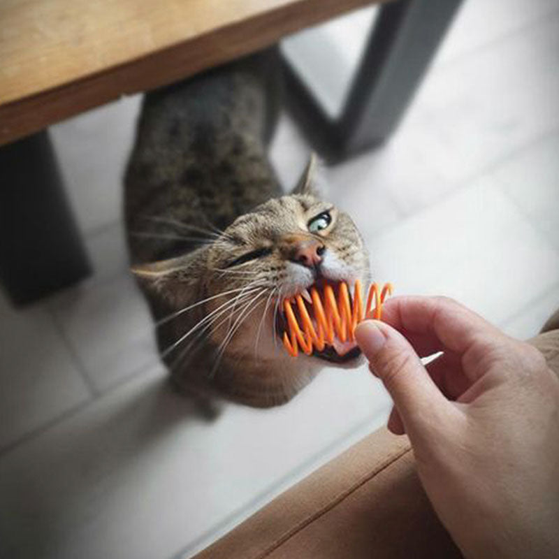 Pettadore Play Springs - Cat Feathers