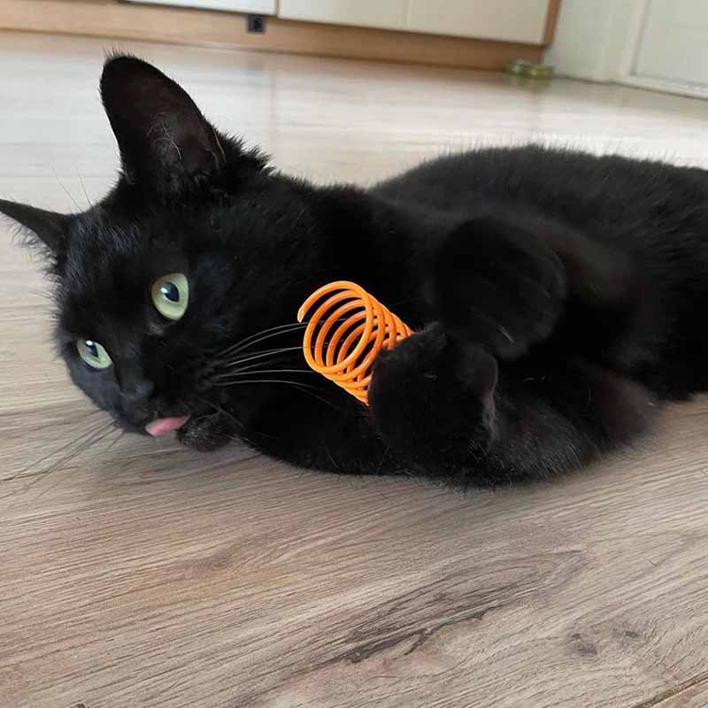 Pettadore Play Springs - Cat Feathers