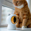 Pettadore Play Red Dot Smart Laser Speeltje Speelgoed Katten Kattenlaser