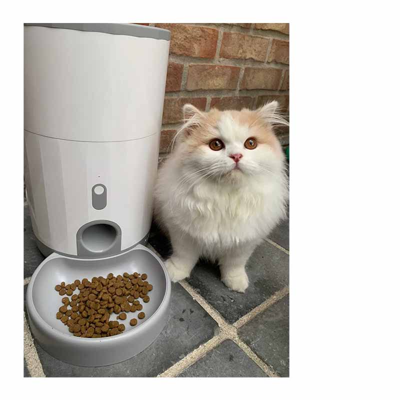 Cat self feeder best sale