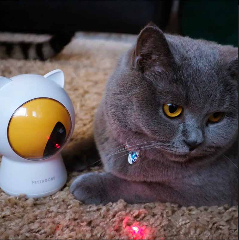 Pettadore Play Red Dot - Laser Toy