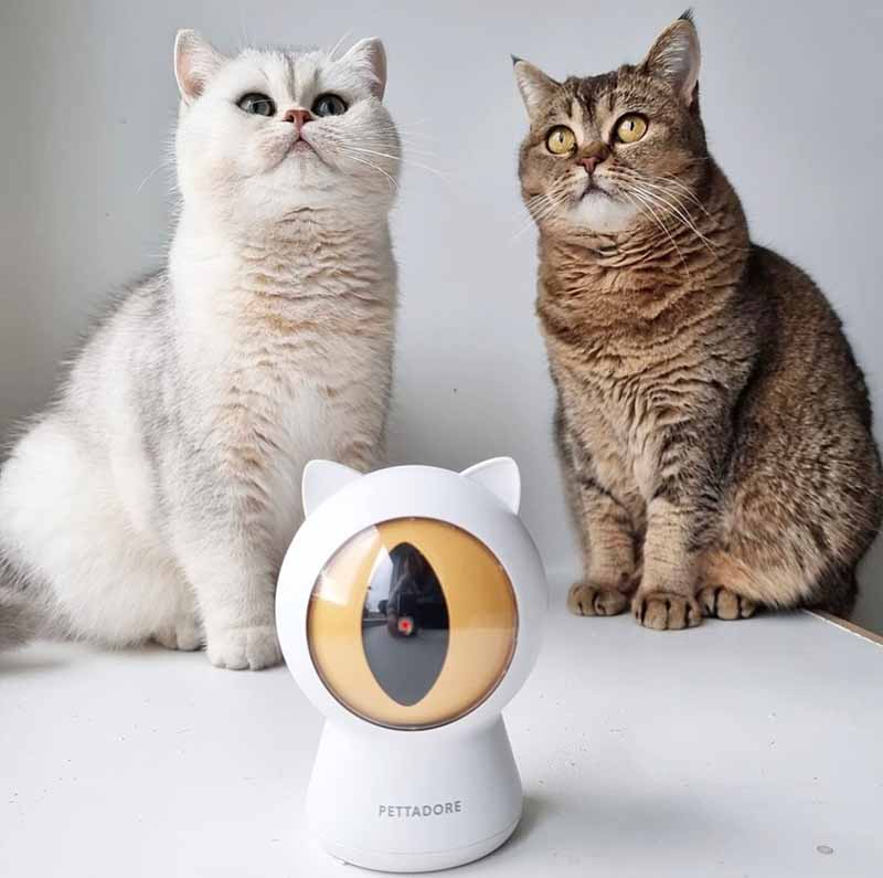 Petoneer Smart Dot - Pointeur laser intelligent pour chat - Jouets animaux  - Petoneer